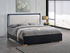 Steeler Bed