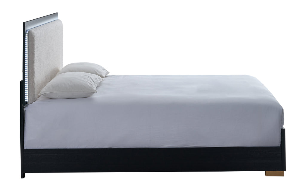 Steeler Bed