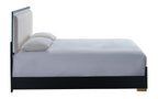 Steeler Bed