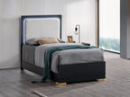 Steeler Bed