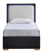 Steeler Bed