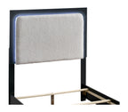 Steeler Bed