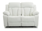 Daria Reclining Loveseat
