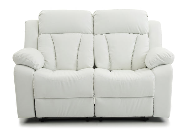 Daria Reclining Loveseat