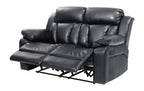 Daria Reclining Loveseat