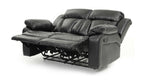 Daria Reclining Loveseat